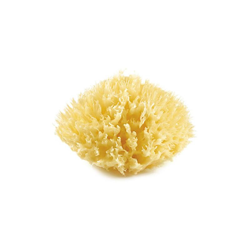 THERMOBABY Mořská houba, Yellow