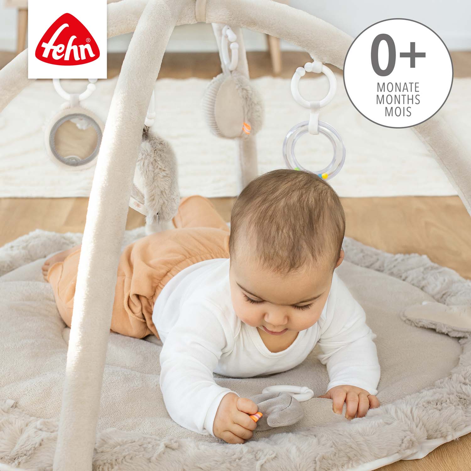 BABY FEHN 3D aktivity deka lenochod, Lazy