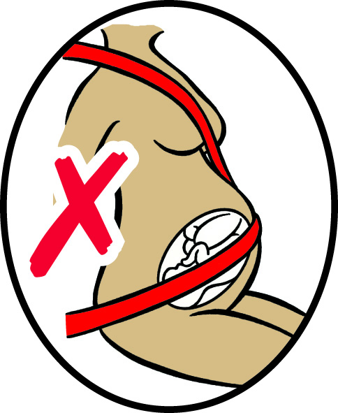 CLIPPASAFE Bezpečnostní pás do auta pro těhotné