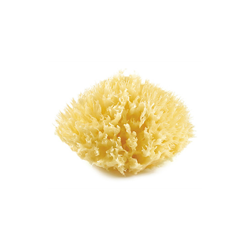 Mořská houba, Yellow